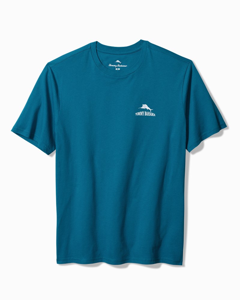 Always Look at the Big Pitcher Graphic T-Shirt