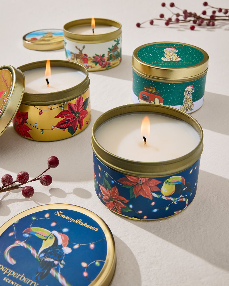 Hollyberry 6-oz. Travel Candle Tin